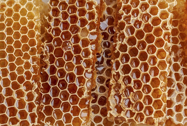 La miel en España: Cuántos tipos de miel existen en nuestro país